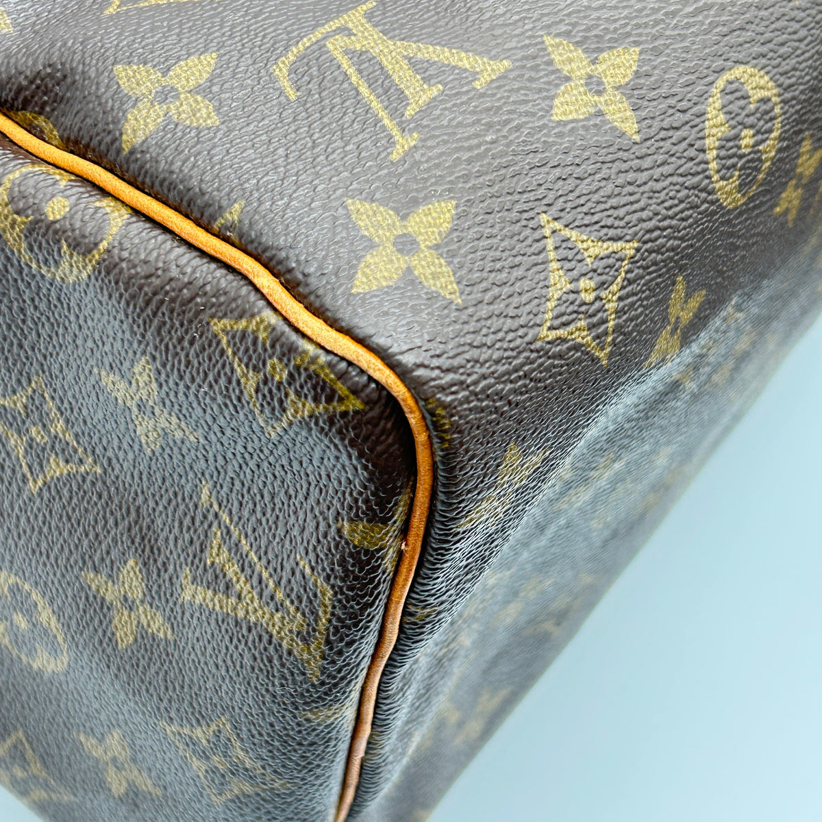 Louis Vuitton Speedy 30 Monogram