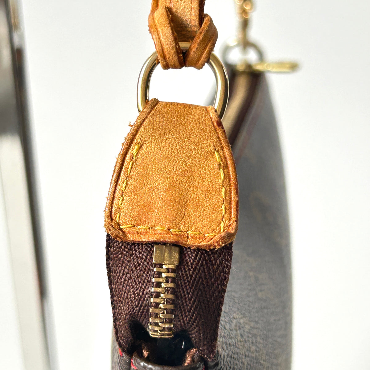 Louis Vuitton Pochette Accessoires Monogram Cherry