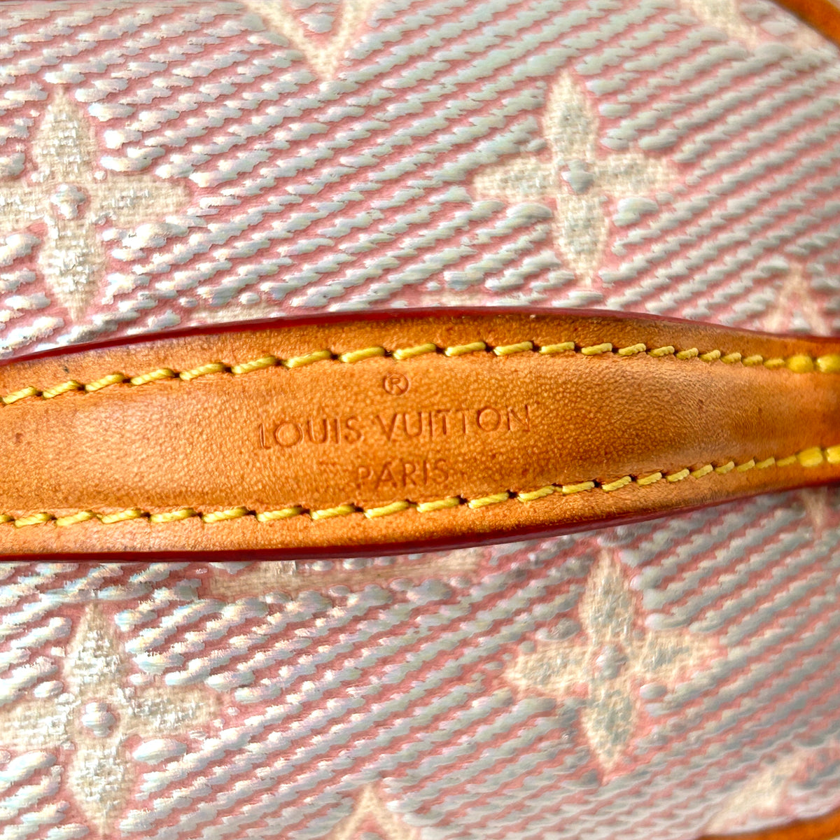 Louis Vuitton Micro Vanity Monogram