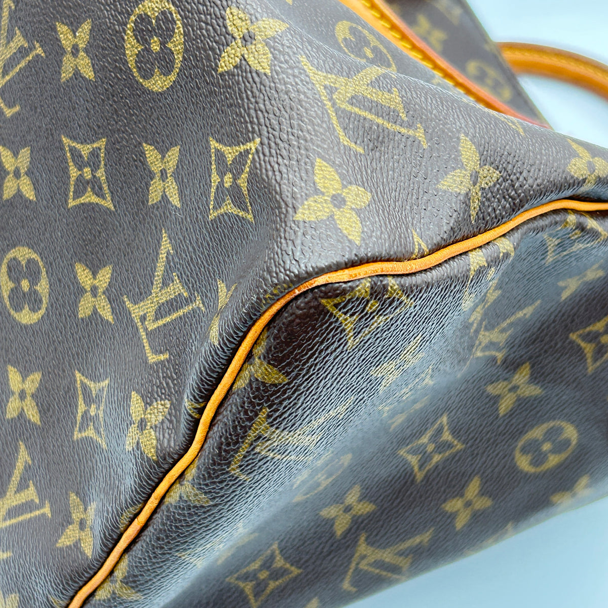Louis Vuitton Speedy 30 Monogram
