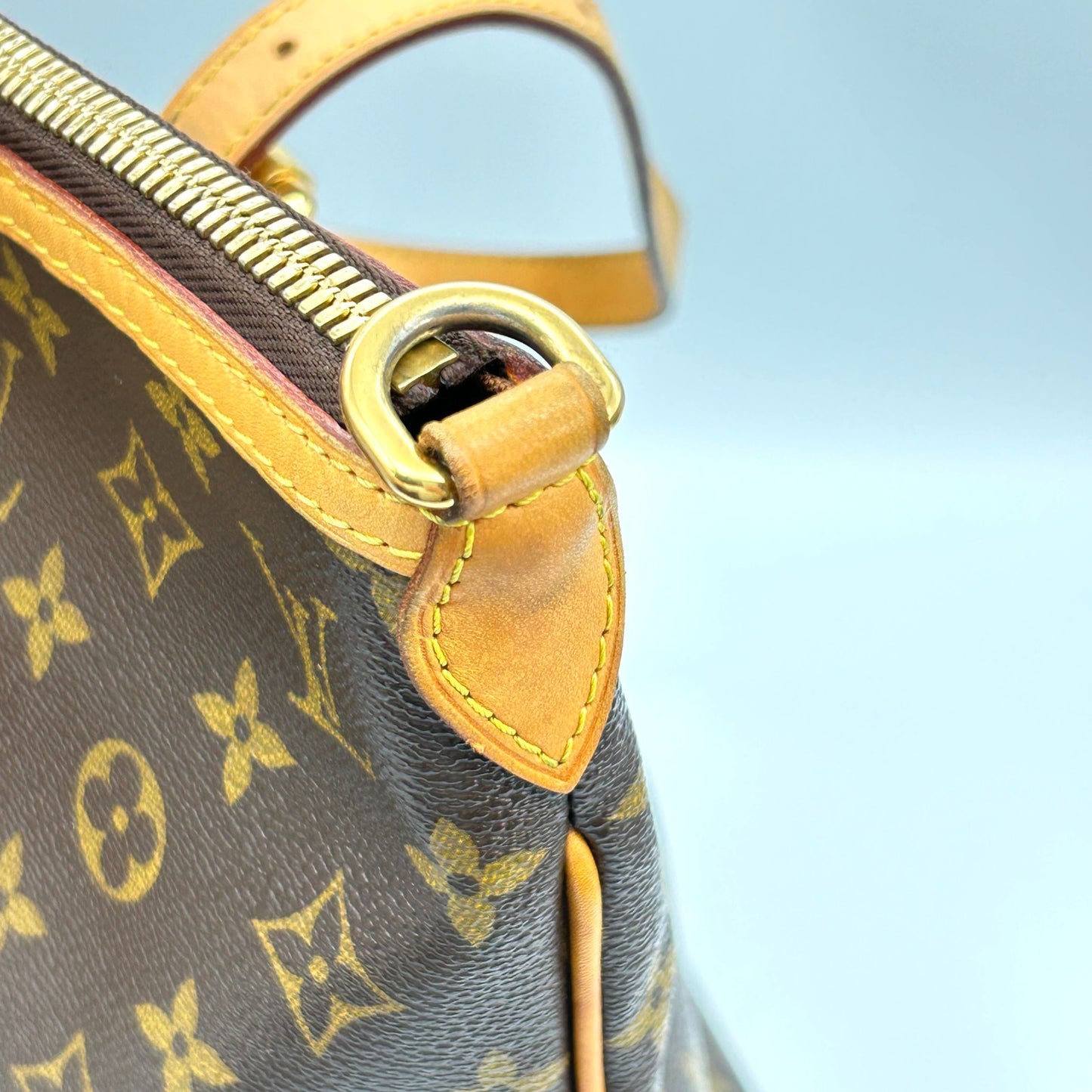 Louis Vuitton Palermo GM Monogram Canvas