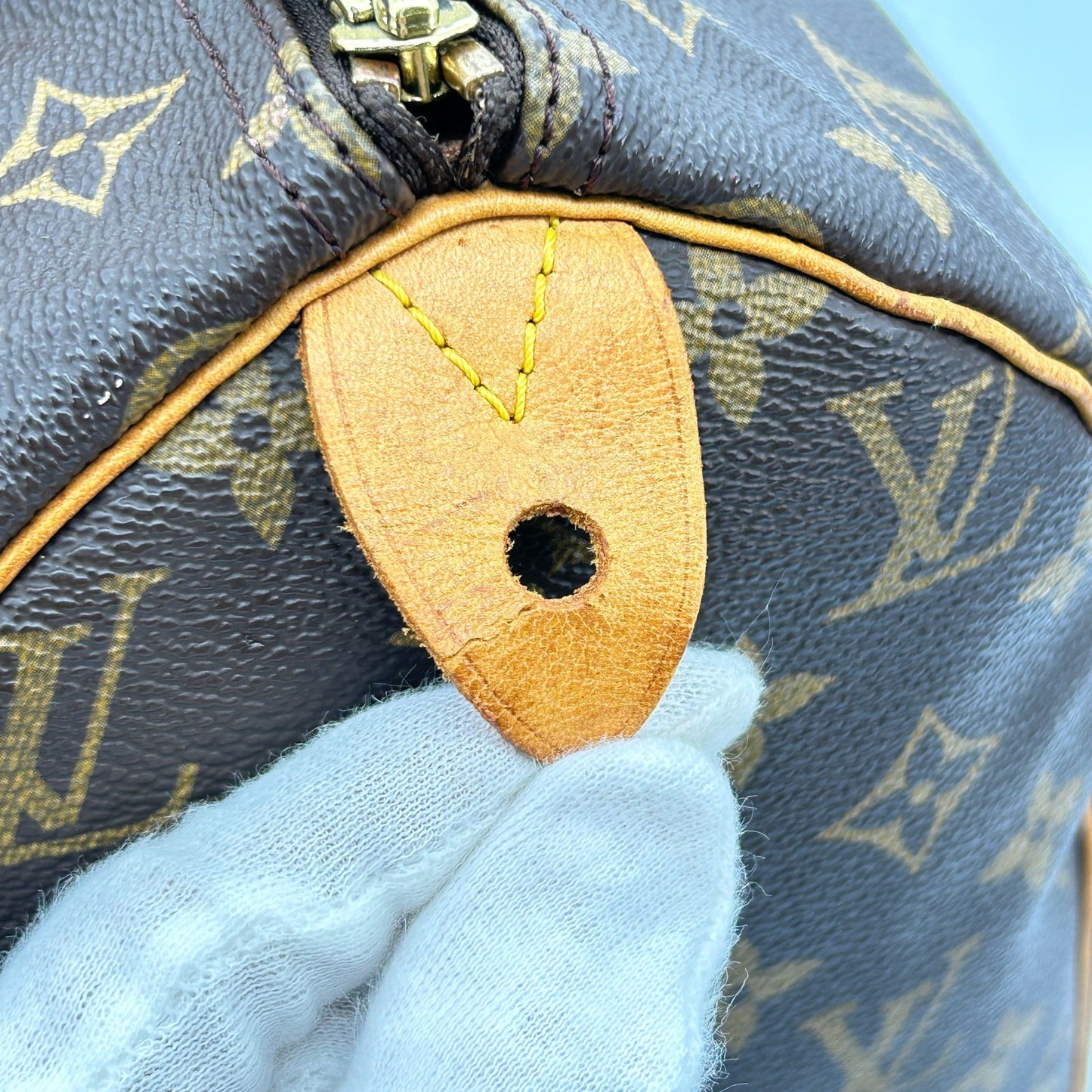 Louis Vuitton Speedy 30 Monogram Canvas