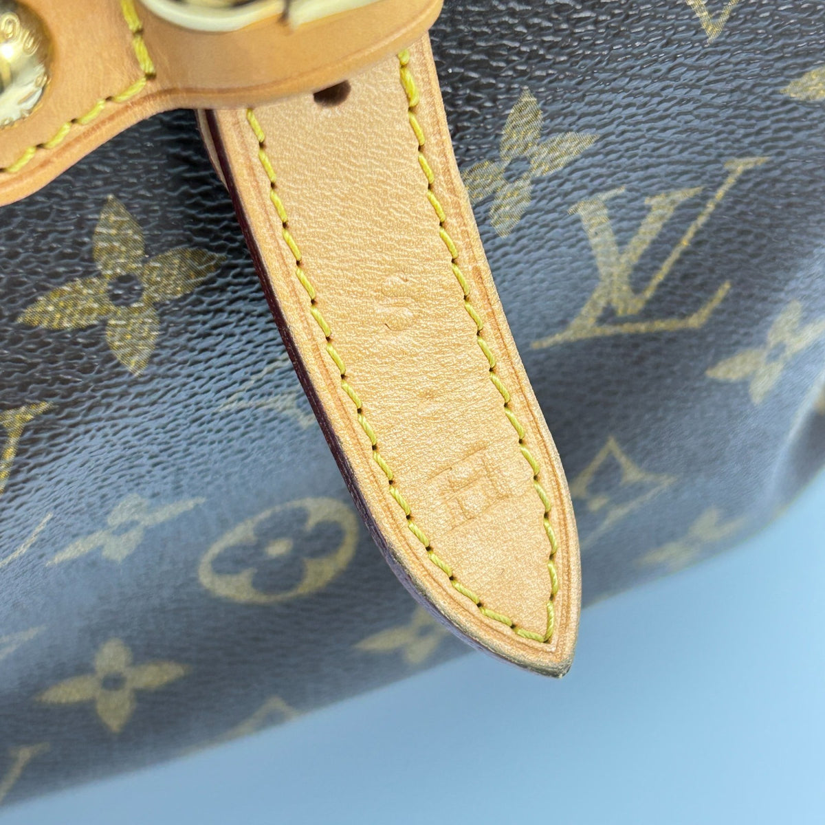 Louis Vuitton Palermo GM Monogram Canvas